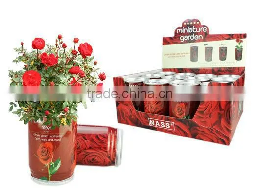 Flower Can,can Flower,flower Tin
