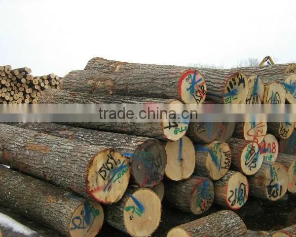 Red Oak Veneer Logs