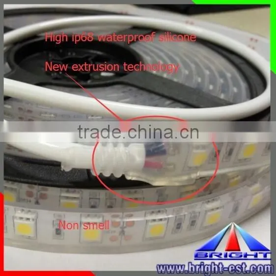 5050 Strip Swimming Pool Led Strip Lighting,High Brightness Led Strips 5050 RGB Underwater Ip68 photo-4