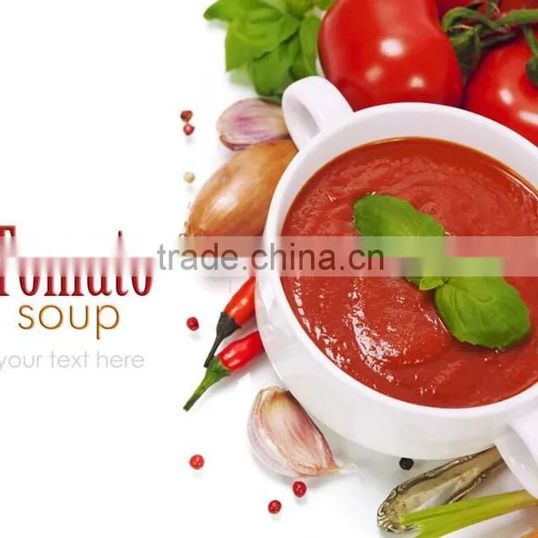 Good Taste Double Concentrated Canned Tomato Paste 28-30%,tomato Sauce photo-3
