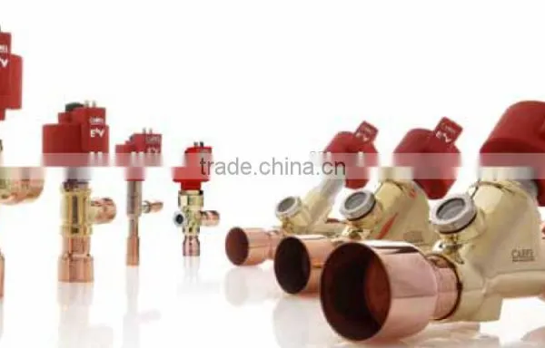 Thermal Expansion Valve E2V photo-2
