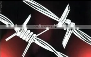 Hot Diped Galvanized Razor Barbed Wire photo-3