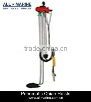 Air Driven Chain Hoist