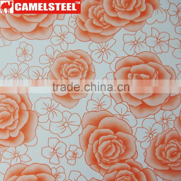 High Quality Customized Design Camelsteel Decorative Steel Coil photo-4