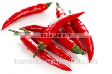 HACCP/HALAL/KOSHER/FDA RED DRY CHILLI photo-3