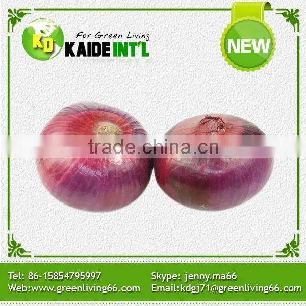 Competitive Price Fresh White Onion photo-4