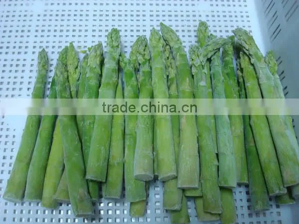 IQF Fresh Green Asparagus