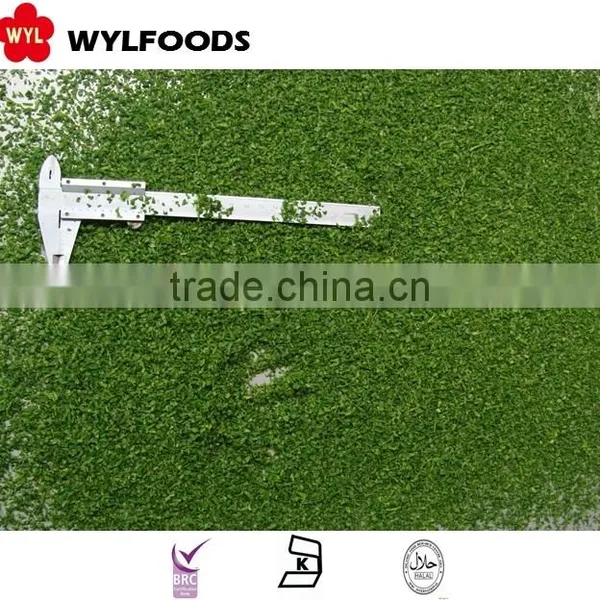 IQF High Quality Frozen Parsley photo-2
