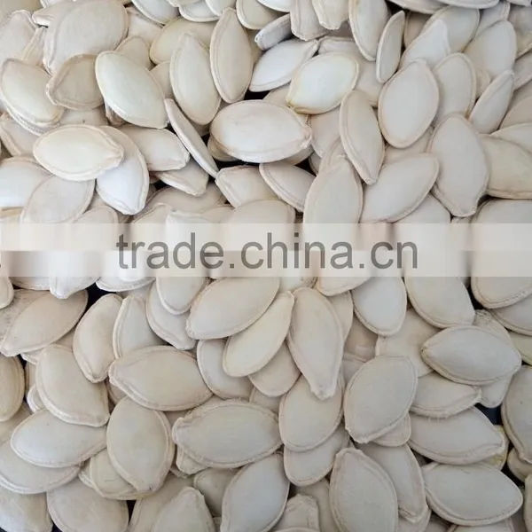 Hot Sale Big Size 10-11mm Chinese Pumpkin Seeds photo-3