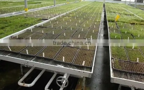 Galvanized Steel Gridlines for Seedbed Benches Gardenhouse