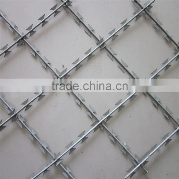 New Premium Potect Material Iron Fence Wire Bulk Galvanized Barbed Wire Made in Anping/Barbed Wire photo-6