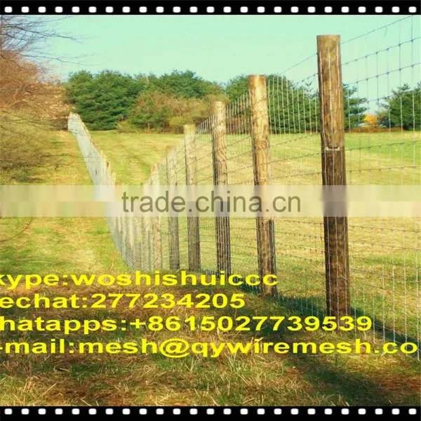 South Africa Field Fence, Farm Fencing photo-2