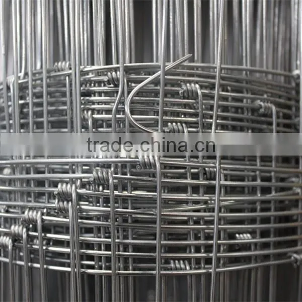 Cheap Animal Wire Mesh Fence for Sale (Big Factory in Anping) photo-4