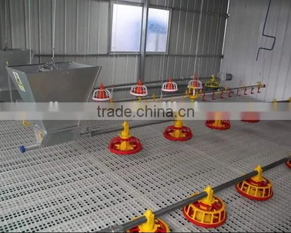 Automatic Poultry Control Shed Equipment for Broilers and Breeders photo-4