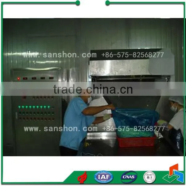 Food Freezing IQF Blast Freezing Quick Vegetable Freezing Machine photo-6