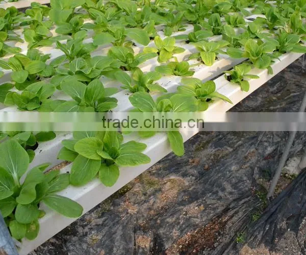 PVC Hydroponics Square Tube Industrial Hydroponic System photo-2