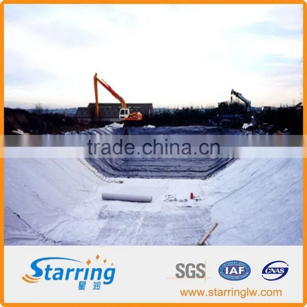 Composite Geomembrane photo-3