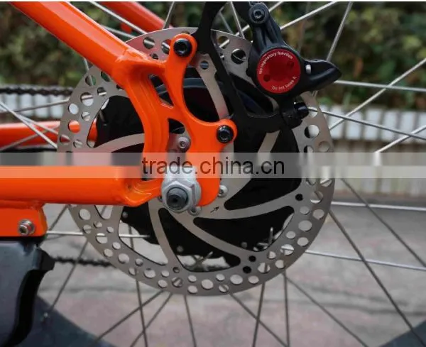 48v 750w Strong Powered Brushless Hub Motor Electric Bicycle Fat Tire Electric Bike photo-6