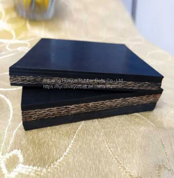 Chemical Resistant Fabric Conveyor Belt photo-2