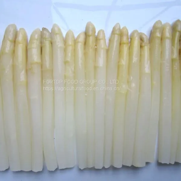Factory Price Premium Quality FRESH Brined White Asparagus Spear in Glass Jar photo-2