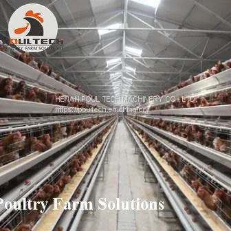 160 Birds of A Type Layer Chicken Cage Equipment With Automatic Equipment photo-4