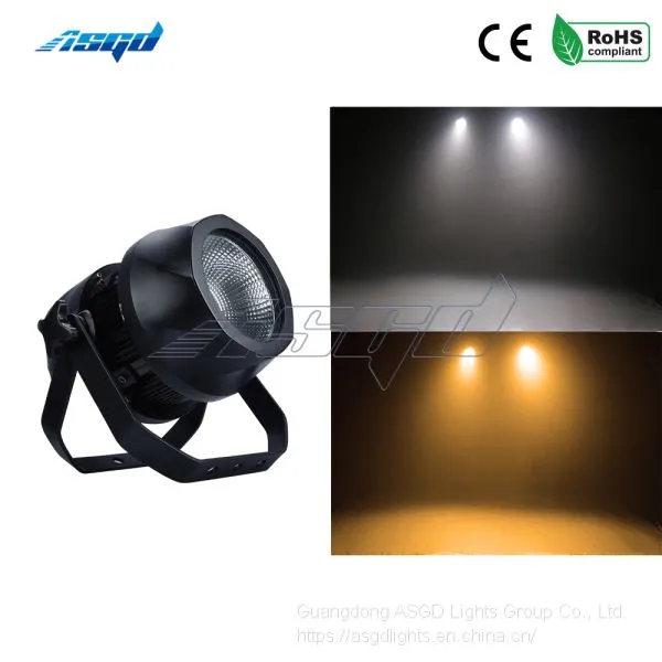 ASGD 200w COB Waterproof Par Lighting Professional Stage Lights Professional Performance Lighting