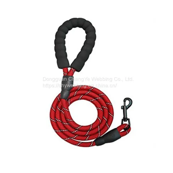 Pet Leash photo-2