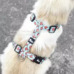 Fashion Adjustable Backpack Weighted Dog Harness/ Adjustable Dog Harness photo-3