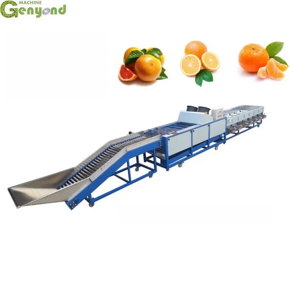 Kiwi Fruit Sorting Machine/Kiwi Weight Grading Sizing Equipment