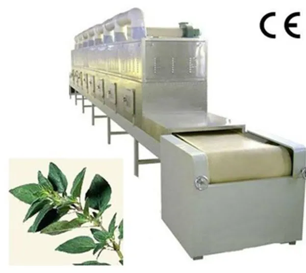 DW Series Mesh Belt Dryer Fruit and Vegetable Dryer photo-5