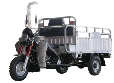 Fuel-powered Three-wheeled Motorcycle（Wechat:13510231336）