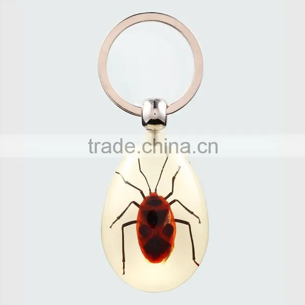 2016 New Spide Keychain With Real Insect photo-2