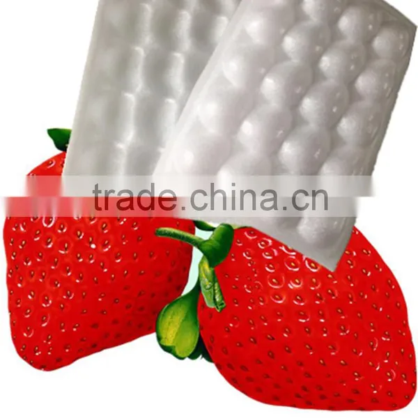 High Quality OEM Foam Food Packaging Tray, Strip EPS Foam Tray for Packaging, EPS Plastic Foam Meat Tray photo-5