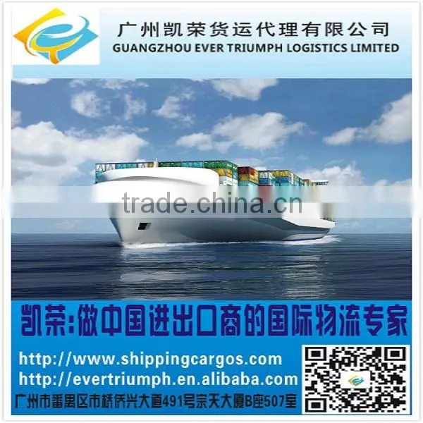 Best Sea Freight From China to Nukualofa