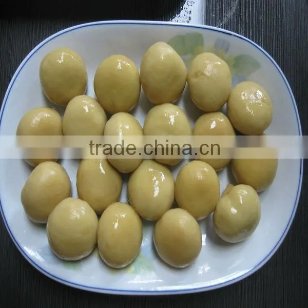 Canned Fresh Button Mushroom in Can photo-4