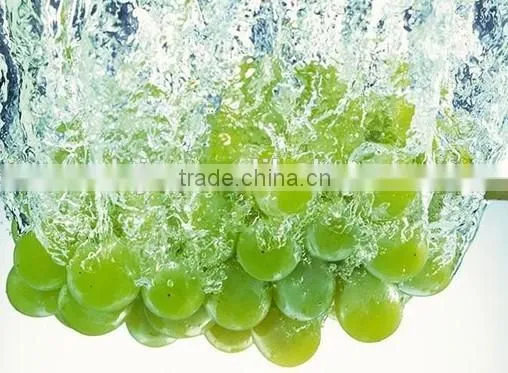 Multifunctional Fruit And Vegetable Cleaning Machine Universal Fruit Washing Machine photo-2