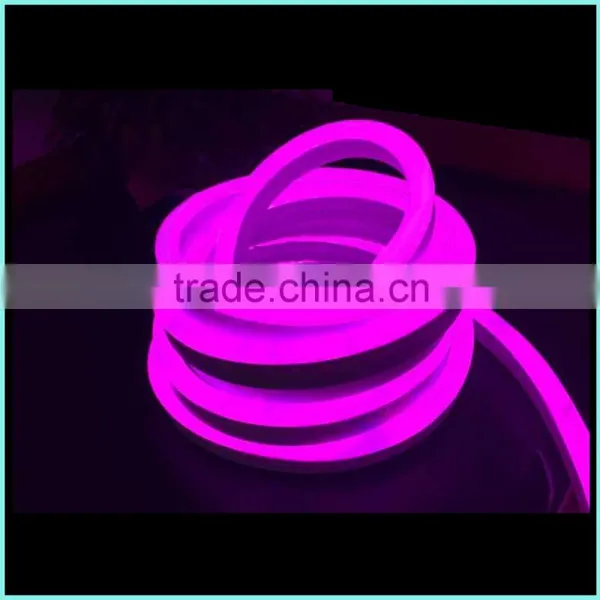 Sunbit SMD3528/5050 Chips Color Led Ultra Thin Neon Flex Rope Light IP68 Led Cluster Christmas Lights photo-5