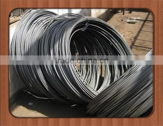 China Standard Hot Sale Steel Wire Rod Shareholders photo-4