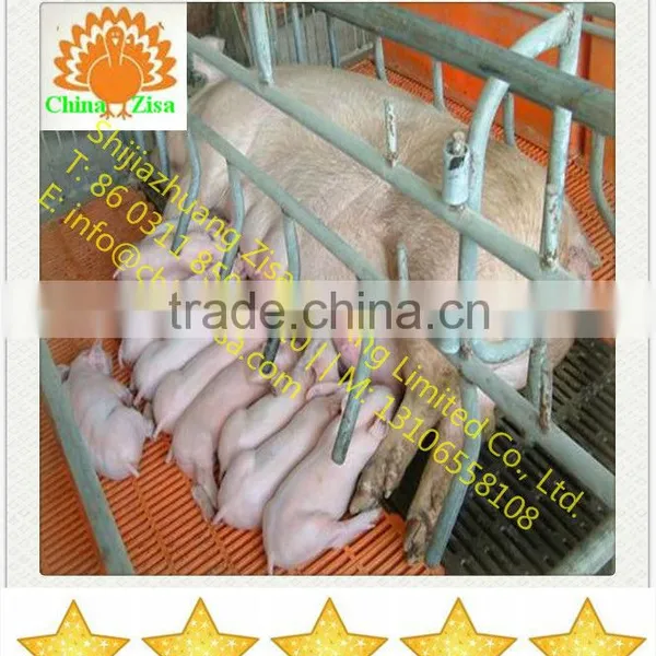 Pig Farrowing Crates