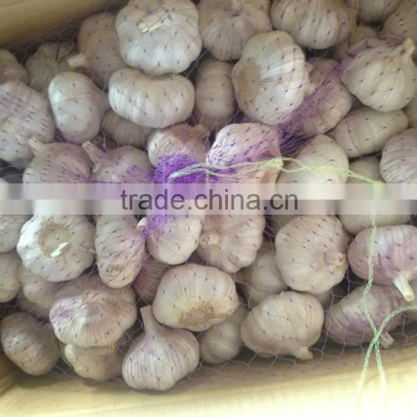 Chinese New Garlice Price photo-5