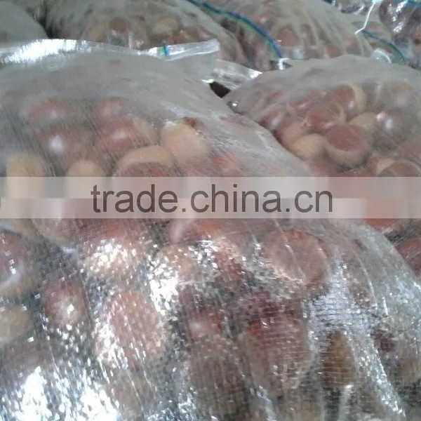 30-40/40-50 Fresh Chestnuts Wholesale Chestnuts for Egypt