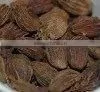 Spices Black Cardamom
