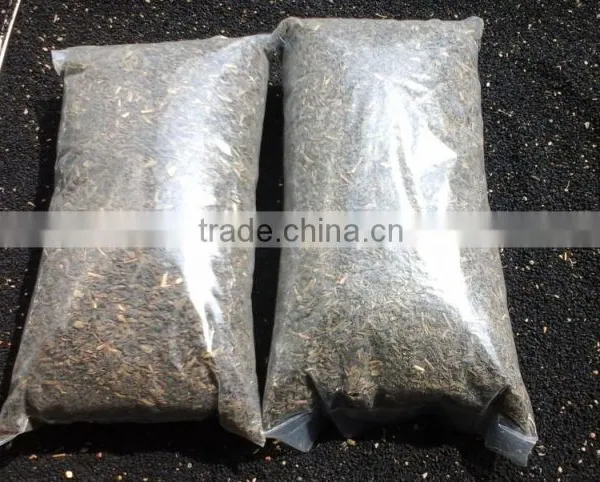 GREEN TEA BANGALDESH
