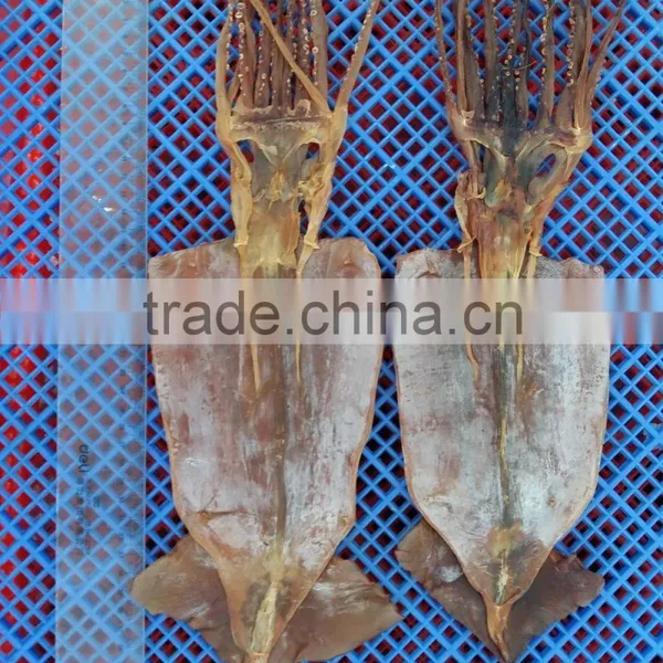 High Qulity Dry Squid for Sale
