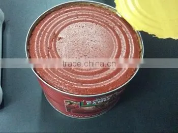 Wholesale Different Tomato Paste Can Sizes/Canned Tomato Paste Factory photo-6