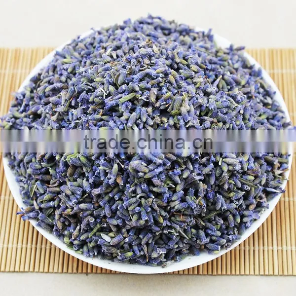 2015 Harvest Dried Lavender Flower,Dried Lavender Tea,China Herb Tea photo-2