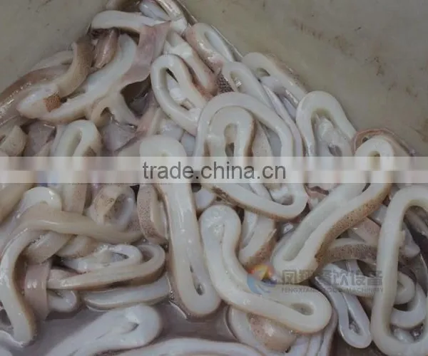 Mini Type Shredding Machine Squid, Shredded Squid Machine photo-6