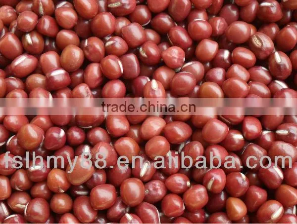 Selected Medium Red Bean 3.2-4.8mm
