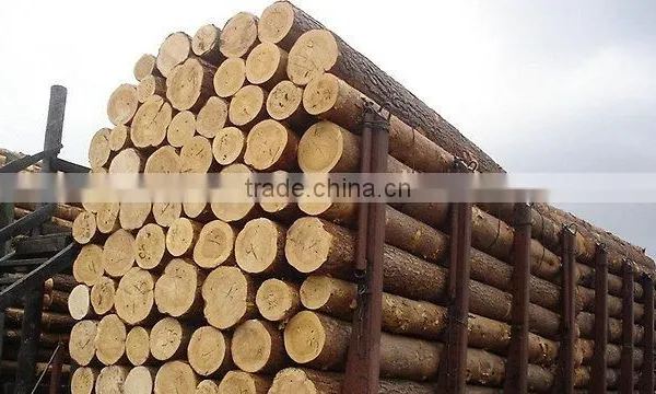 Wood Round Logs /Timber Log / Sawlogs / RUSSIAN ORIGIN photo-2