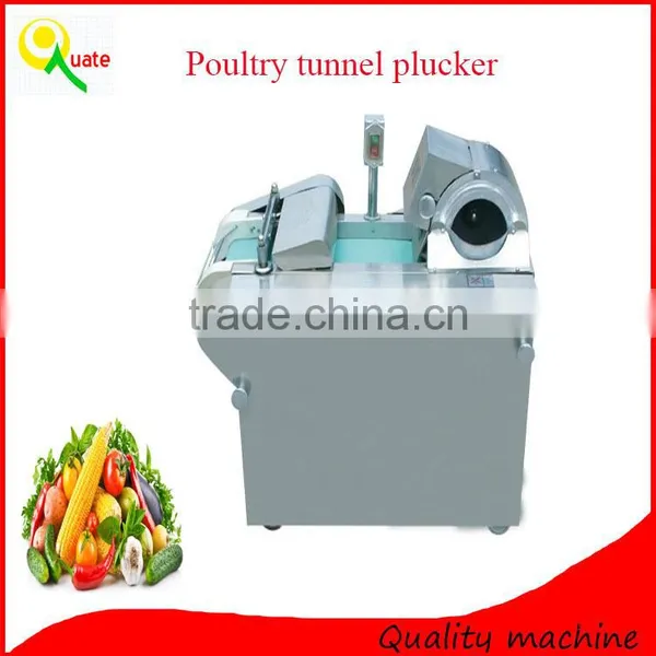 Fruits And Vegetable Processing Equipment, Vegetable Cutter photo-6